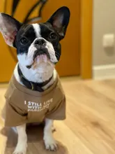 Letras de moda impreso Bulldog francés Camisa de algodón elástico ropa de perro mascota para Yorkshire Chihuahua verano bombero esposa camiseta bombero novia fuego emblema bombero Don bombero Cruz de traje