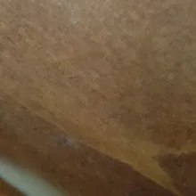 s***s