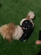 Pet-Dog-Clothes Jacket Coat Puppy Dogs Chihuahua Cotton for Warm Thick And Thin