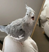 10 unids/set bien pintado a mano delgada línea de gancho pluma arte suministros bolígrafo para dibujo artístico cepillo de pintura de cepillo de Nylon acrílico pintura de la pluma