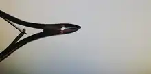 Nipper Cutter Manicure-Tool Nail-Care Dead-Skin Handnail Cuticle ROSALIND