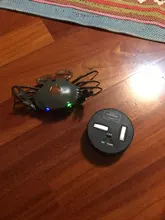 RC animales insectos juguetes de simulación de araña mosca abeja cangrejo Ladyb mantis eléctrico robot de juguete broma de día de brujas de los insectos juguetes de los niños