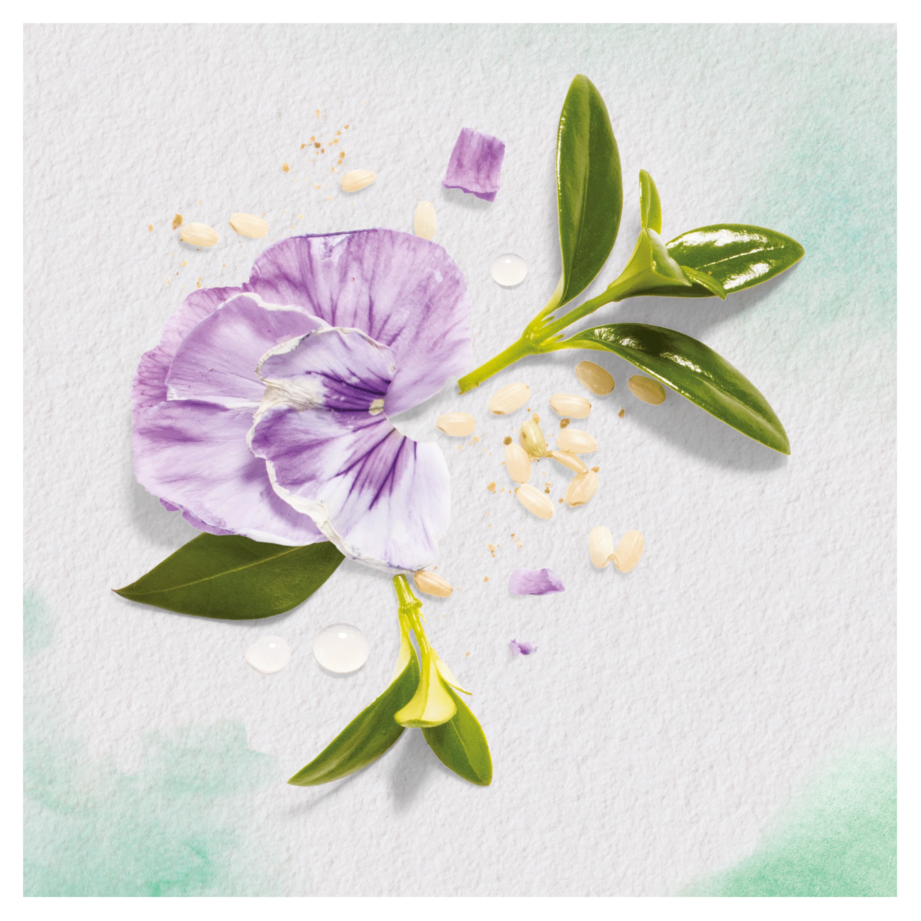 HERBAL ESSENCES Шампунь Пассифлора и Рисовое молоко 250мл