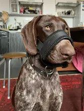 Correa de cuello de cabeza acolchada para perro, herramienta de entrenamiento para dejar de tirar