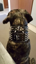 Pet-Dog-Collar Studded Wide-Spikes Doberman Pitbull 3inch for Large Breeds Pitbull/Doberman/M/..