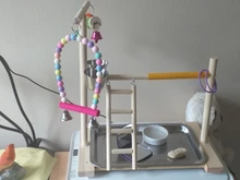 Perch-Stand Ladder Feeder Playground Bird Parrot with Wooden Platform Gym Cups Interactive-Toys