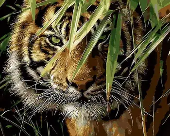 

Drawing on wood by numbers (23 colors) 40x50 cm "stuck Tiger" Red Cat awd028