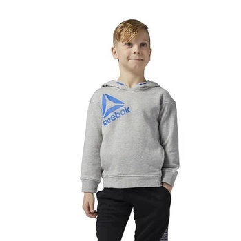 

Children’s Hoodie Reebok B ES Oth Hdy Grey (Size m)