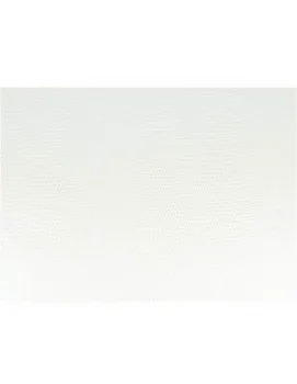 

BLADE TEXTURED LIZARD FOR DECORATIONS 50X68 CM LIZARD WHITE