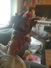 Ropa cálida de invierno Para Perro, Abrigo con capucha, disfraz de Perro, chaqueta de lana Para Bulldog Francés, Chihuahua