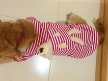 Sweater Jersey Pet-Dog-Clothes Yorkies Small Dogs Winter Dog Chihuahua Teddy Spring New