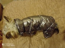 Ropa de abrigo para Perros Bulldog Francés, Ropa de cachorro, Chihuahua, yorkie, abrigo de perrito mascota, chaqueta, perros, mascotas