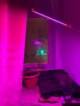 Grow-Lamp Sunlight Imitating Young-Plants Uv-Growing Full-Spectrum Indoor LED DC 5V 3W