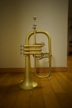 Instrumento Musical profesional Chapado en latón con estuche, Bb Tune Flugelhorn, producto Real, envío gratis