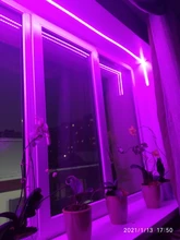 LED Grow Light Full Spectrum 5V USB Grow Light Strip 2835 LED Phyto Lamps For Plants