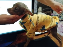 Traje para perros con estampado de animales, abrigo suave de algodón para mascotas, Jersey, camisa, chaqueta, suéter, ropa para mascotas