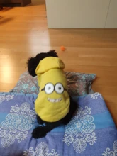 Clothing for Dogs Winter Warm Clothes Dog Hoodies Outfit Jacket Clothing for Dogs Chihuahua