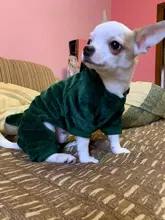 Mono para Perro suave y cálido, pijama de lana para mascotas, Ropa para perros, abrigo, chaqueta, Chihuahua, Yorkshire
