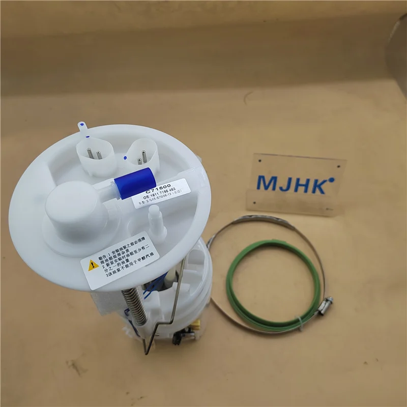 16117195463 16117195464 Fuel Pump Assembly Fit For BMW E70