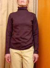 Womens Sweater Turtleneck AMII Tops Solid-Basic Winter Causal Autumn Minimalism 