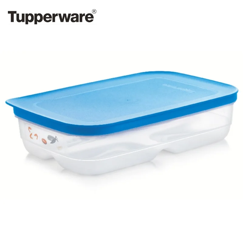 КОНТЕЙНЕР УМНЫЙ ХОЛОДИЛЬНИК ДЛЯ МЯСА И РЫБЫ(1,8 Л) Tupperware