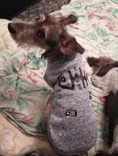 Sweatshirt Coat Puppy Yorkies Dog Chihuahua Cotton Fish-Bone-Print for Small Cats Cozy