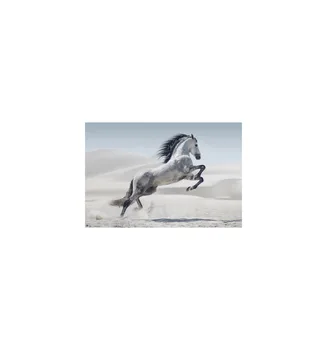

POSTER HORSE ANDALUSIAN