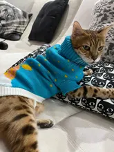 Cute Cat Sweater Costume Winter Warm Pet Clothes Cat Clothing for Cats Katten Kedi Giyim