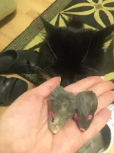 Ratón falso para gatos, juguetes para mascotas de pelo largo, con sonido sonajero, piel suave de conejo auténtico, juguete para gatos y perros, 5 uds.