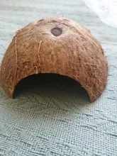 Nest Hamster-House Hiding-Cage Coconut-Shell Small Animal Reptiles Cave Spider Natural