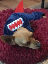 Mono para Perro suave y cálido, pijama de lana para mascotas, Ropa para perros, abrigo, chaqueta, Chihuahua, Yorkshire