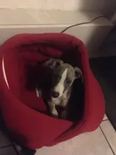 Dog-Bed House Nest Dog-Cushion Cat-Sleeping-Bag Soft Warm for High-Quality 10c15 Pet-Dog