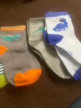 Calcetines de algodón con dibujo de dinosaurio para niños y niñas, medias infantiles de dibujos animados para primavera y otoño, de 2 a 12 años, 5 pares