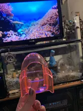 Bed-House Hamster Mice Cage Gerbil Rodent Small-Pet Bath-Room Plastic Transparent Cute