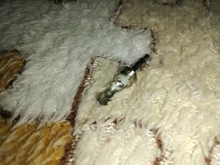 5 unids/lote conector de auriculares de 3,5mm macho conector de audio de dos canales 3,5 Mm con carcasa de plástico negro tamaño 5x0,9 cm