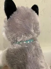 Necklaces-Accessories Collar Puppy-Products Chat Kitten Kota Small Traumdeutung for Pet-Dog