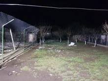 Landscape Lighting Street-Lamp Ip65 Waterproof 230V 220V 50W 100W LED 30W 240V AC