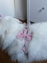 Conjunto de Correa y arnés para perro, lazo suave y ajustable de doble capa para mascota pequeña mediana, correa para caminar al aire libre