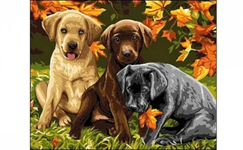 

Painting by numbers on canvas 40x50 cm "three puppies" Red Cat B482