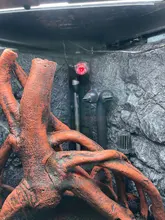 Luz de acuario LED impermeable con gradiente colorido, sumergible, accesorio para acuarios de agua dulce de mar, 100-240V