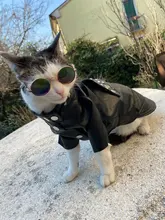 Pet Clothing Costumes Coat Kitten-Outfits Yorkshire Puppy Winter Warm Autumn for Chihuahua