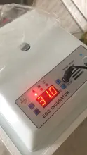 Incubadora de huevos de 220V, incubadora de codornices para aves de corral, herramientas de incubación automática