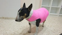 Ropa de invierno cálida para perros, chaleco reflectante para cachorros, chaqueta polar cómoda para mascotas, abrigo para perros pequeños, medianos y grandes, 2020