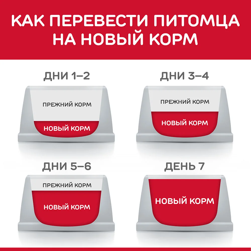 6047337