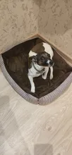 Kennel Pet-Bed Dog Large Warm-Pad Small Waterproof Medium Big 5-Size Winter-Mat Striped