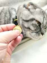 Collar de gato flocado para gatitos y mascotas, suministros