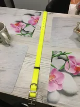 Collar para perro desodorante y resistente al agua de TPU y nailon, fácil limpieza, de alta calidad, suministros para mascotas, 7 colores, de moda