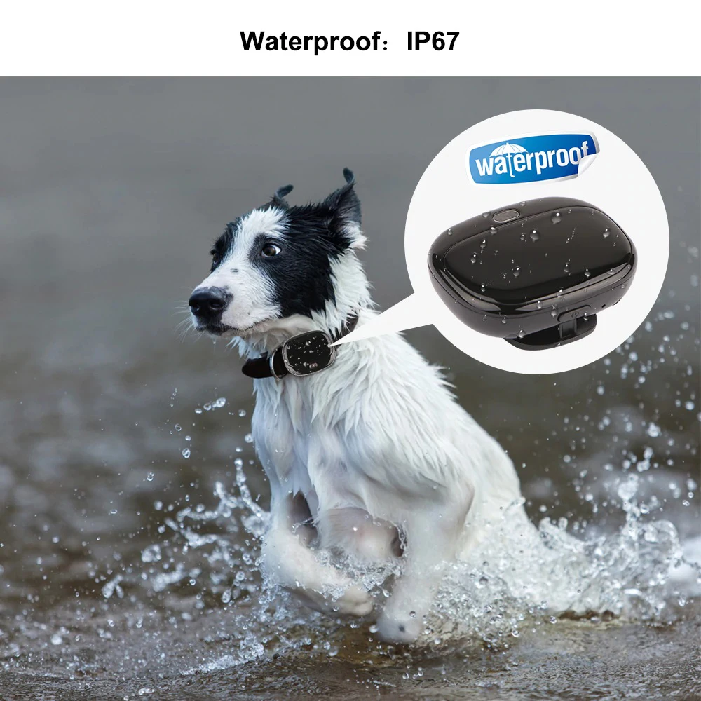 GPS трекер V43 4G LTE 3G WCDMA 2G GSM IP67|Ошейник для дрессировки| |