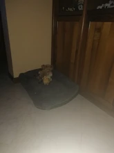 Dogs-Bed Sofa-House Big-Basket Small Large Waterproof Cat Bed Soft-Fleece for Medium