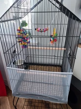 Columpio de madera Natural colorido para loros, accesorios para jaulas de pájaros y hámster, divertido, pájaro masticar, juguetes para mascotas pequeñas, columpios colgantes, 1 Uds.